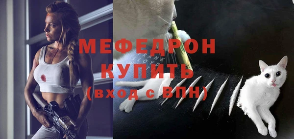 стаф Арсеньев