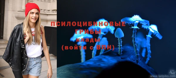 стаф Арсеньев