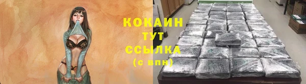 ГАЛЛЮЦИНОГЕННЫЕ ГРИБЫ Баксан