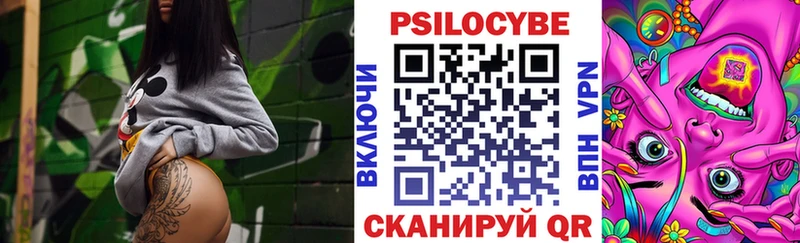 Галлюциногенные грибы GOLDEN TEACHER  купить наркотики цена  mega зеркало  Новозыбков 